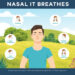 Unlocking the Power of Nasal Breathing: Benefits, Techniques, and Transformative Strategies to Breathe Through Your Nose